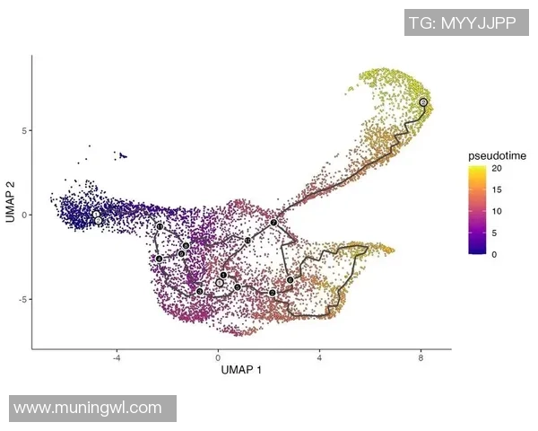 熊猫体育运动轨迹预测模型的构建与应用研究分析
